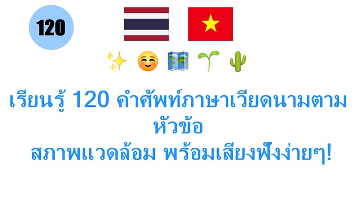 เรียนรู้ 120 คำศัพท์ภาษาเวียดนามตามหัวข้อ: สภาพแวดล้อม พร้อมเสียงฟังง่ายๆ!